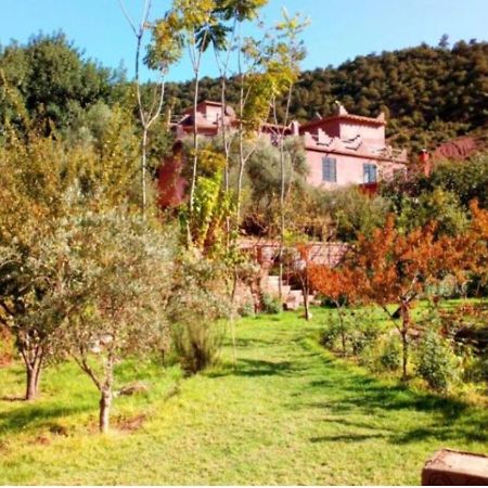 Ourika Timalizene Le Jardin Des Delices Otel Tamezindert Dış mekan fotoğraf