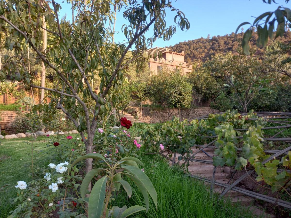 Ourika Timalizene Le Jardin Des Delices Otel Tamezindert Dış mekan fotoğraf